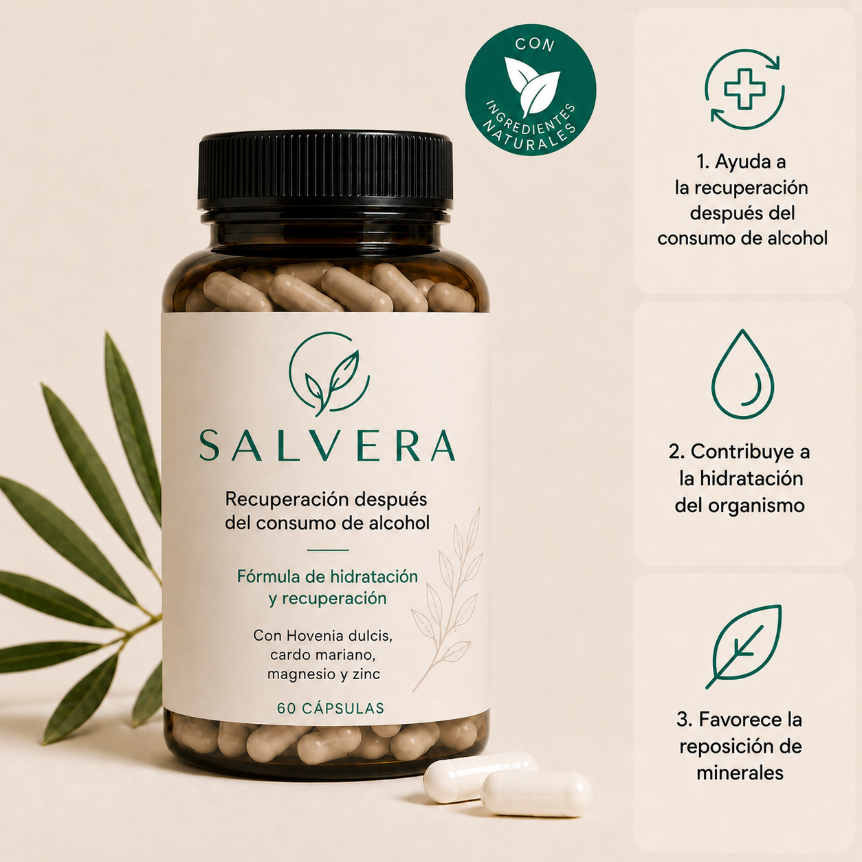Salvera | Recuperación Post-Alcohol