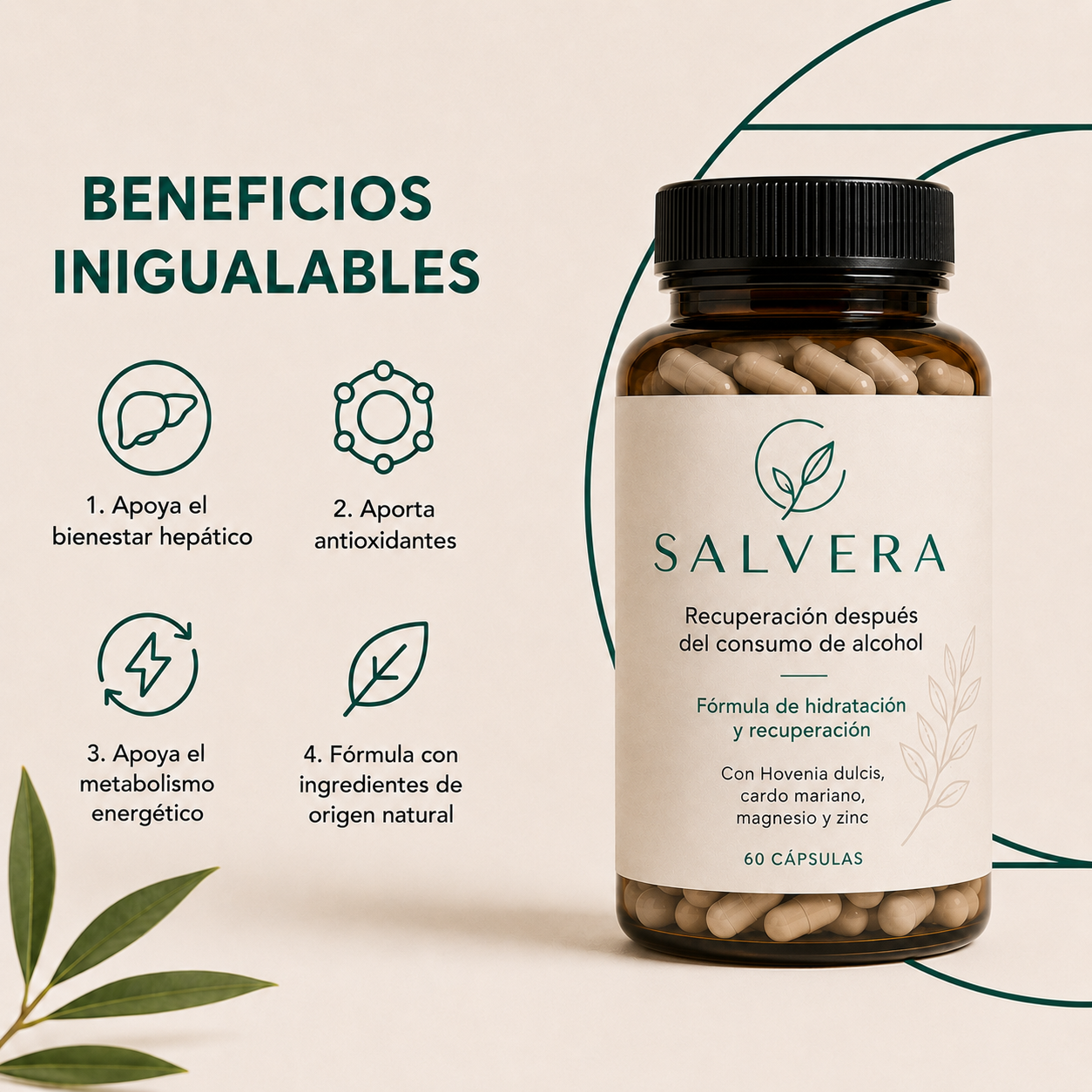 Salvera | Recuperación Post-Alcohol